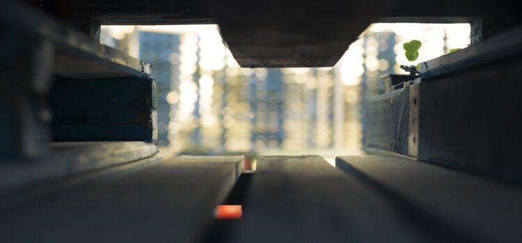 Ab harum dolores qui saepe in et